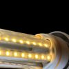 5w pin LED warm Bulbs